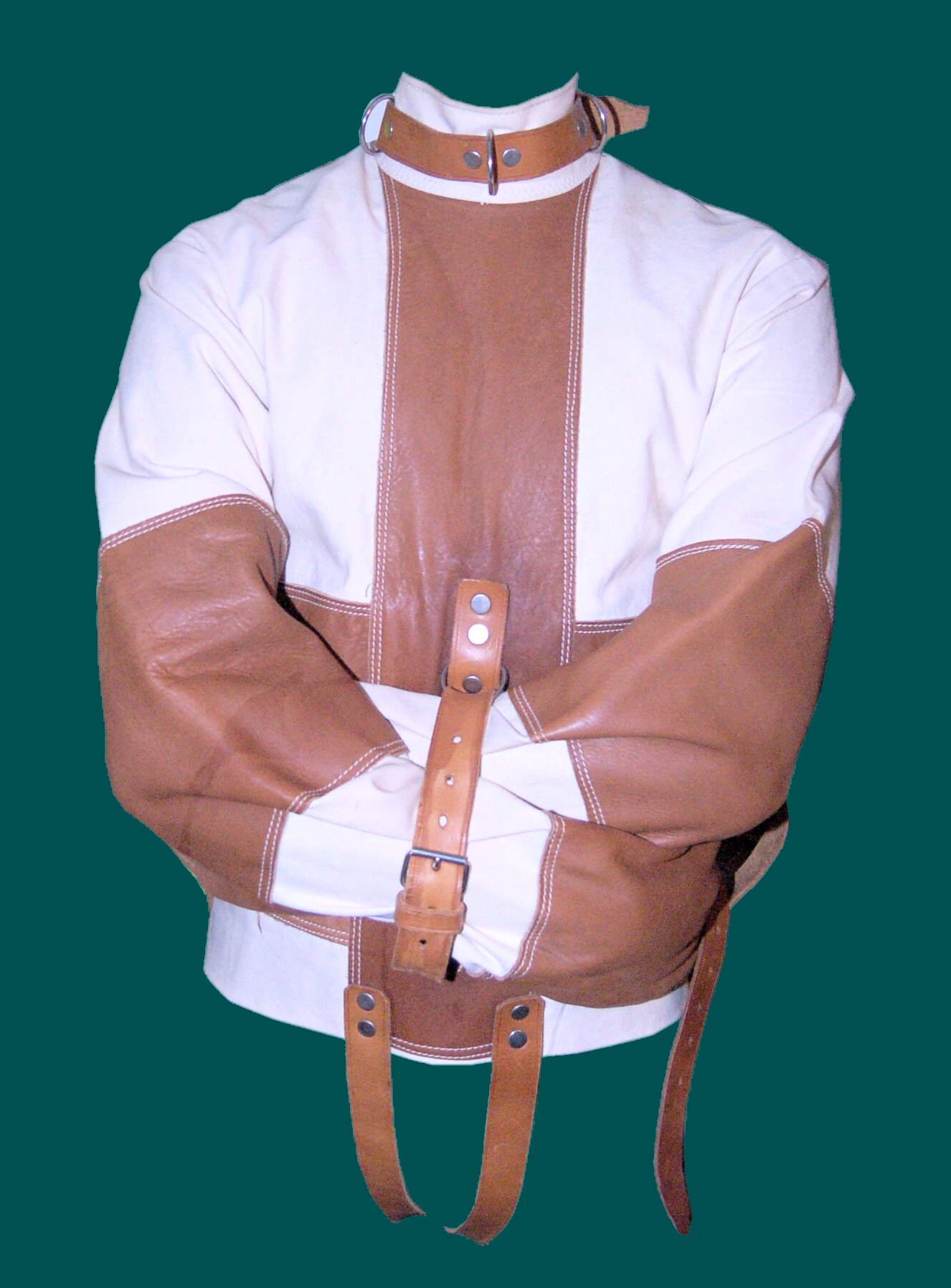 Jime 
              
 
 
 Stewart's Historical    Pattern Straitjacket